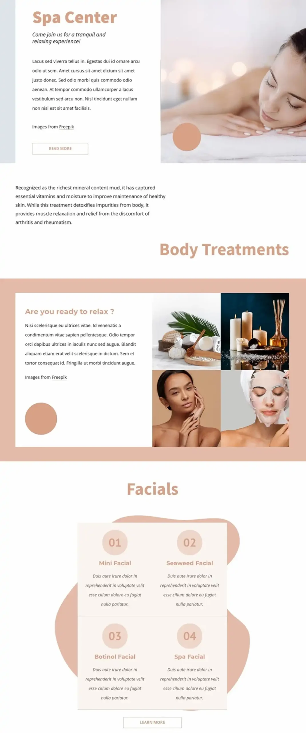 Preview of the Spa website design -195862